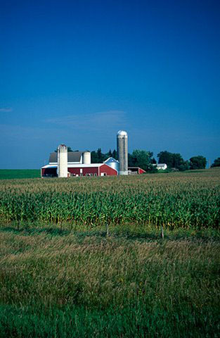 Iowa farm landscape